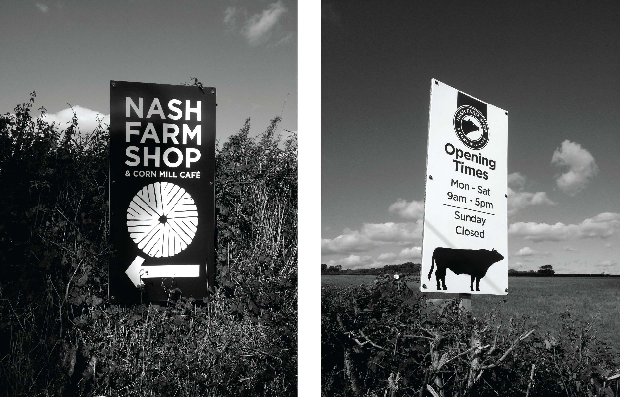 Nash_Signage_mono-01.png