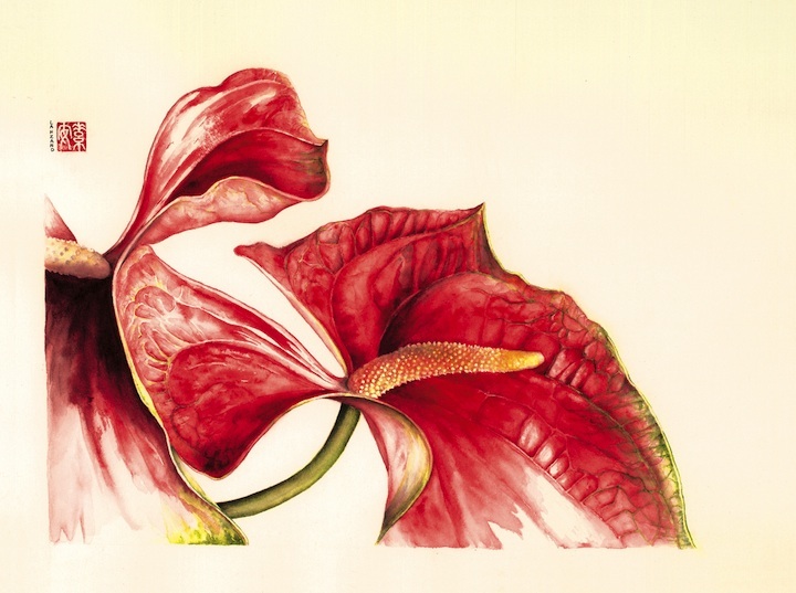 RedAnthuriums.72 dpi 7.5 x 10.jpg