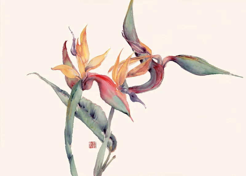 Birds of Paradise I Watercolor on raw rice paper 17” x 22”