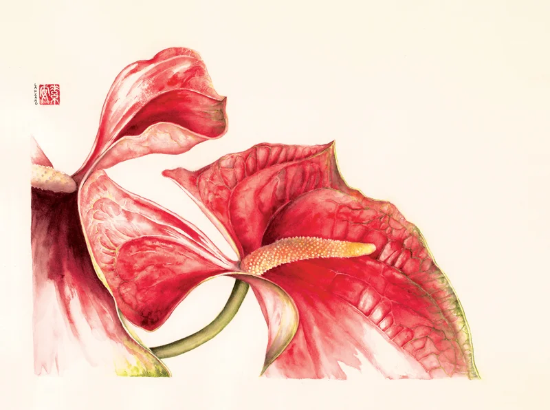 Red Anthuriums Watercolor on 140 lb. hot-pressed Arches, 12” x 16”