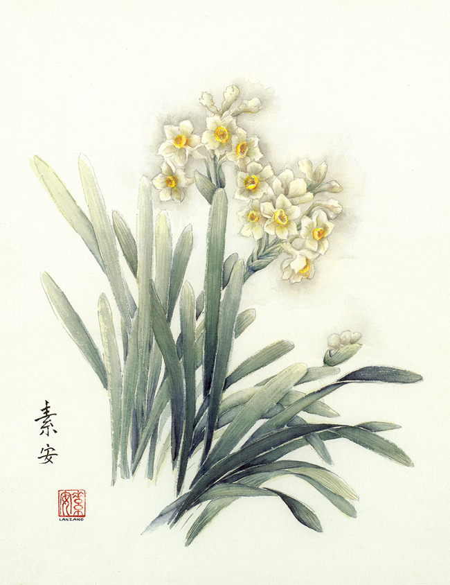 Chinese Sacred Lily after Gu Yi Chinese ink and watercolor on sized rice paper, 22” x 16”
