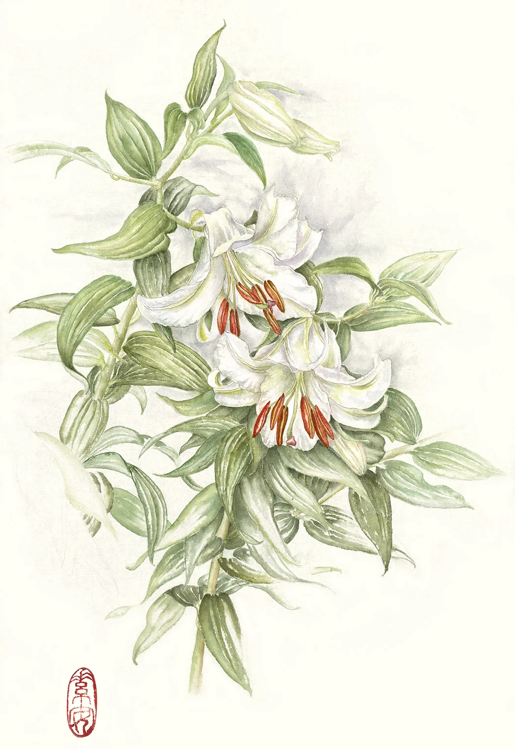 Casablanca Lilies Watercolor on 140 lb. hot-pressed Arches, 19.5" x 13”
