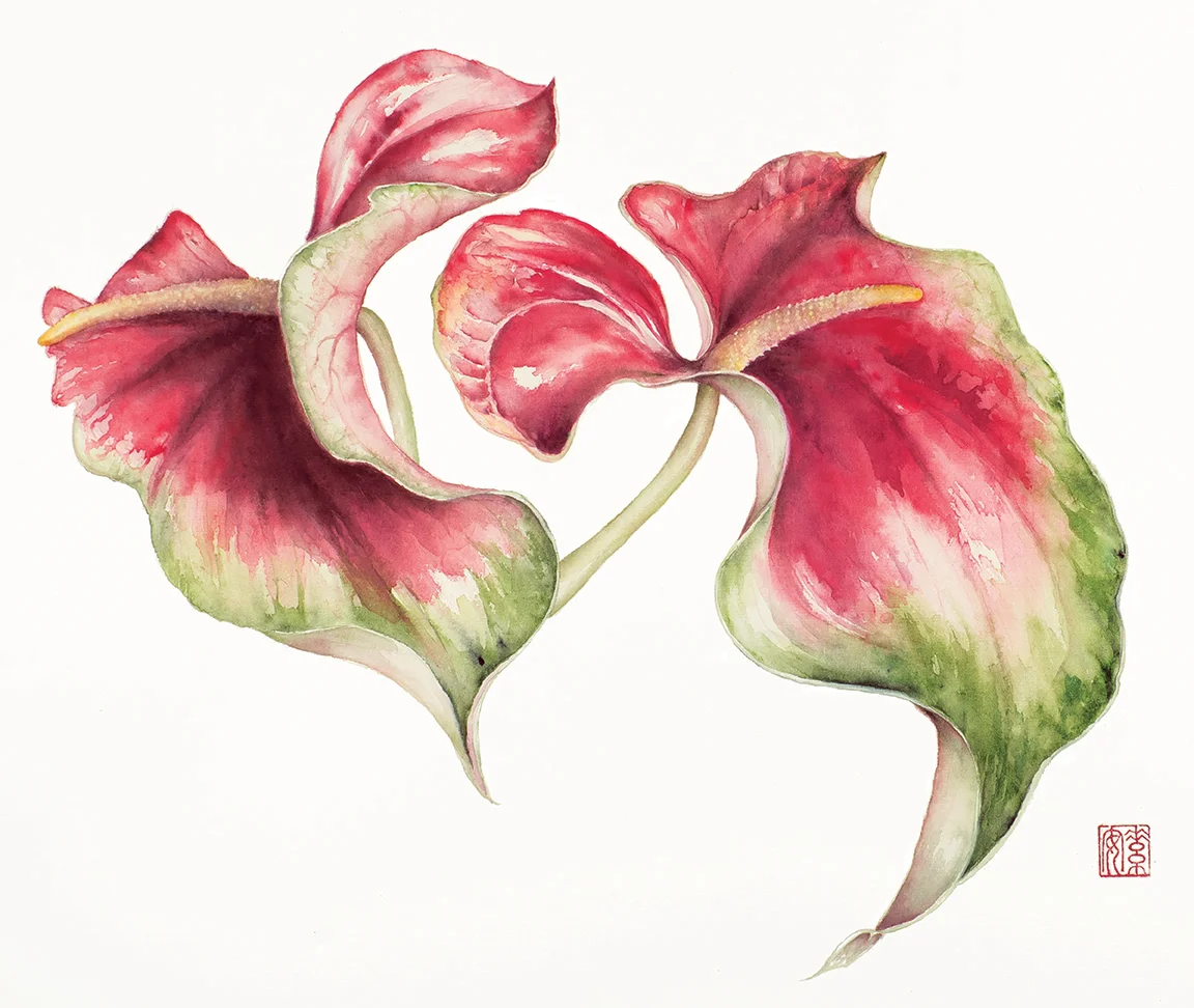 Obake Anthuriums Watercolor on sized rice paper, 17” x 23”