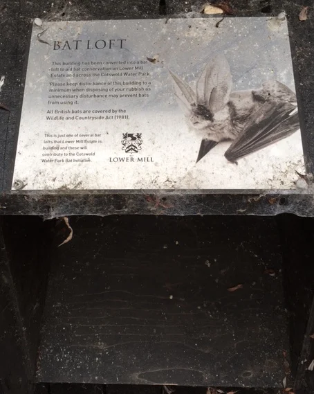 On the outside wall of one garage this bat entrance is in place. This specific entrance allows the Lesser Horseshoe bat to fly straight into the loft space to roost. 