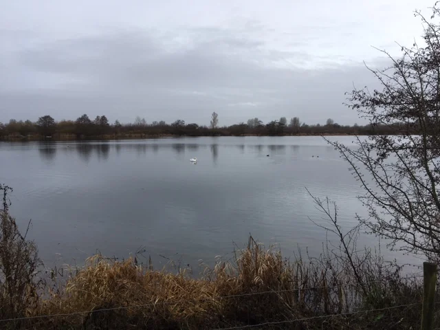 A cold grey day at Lower Mill estate, but nevertheless a huge amount of wildlife to see!