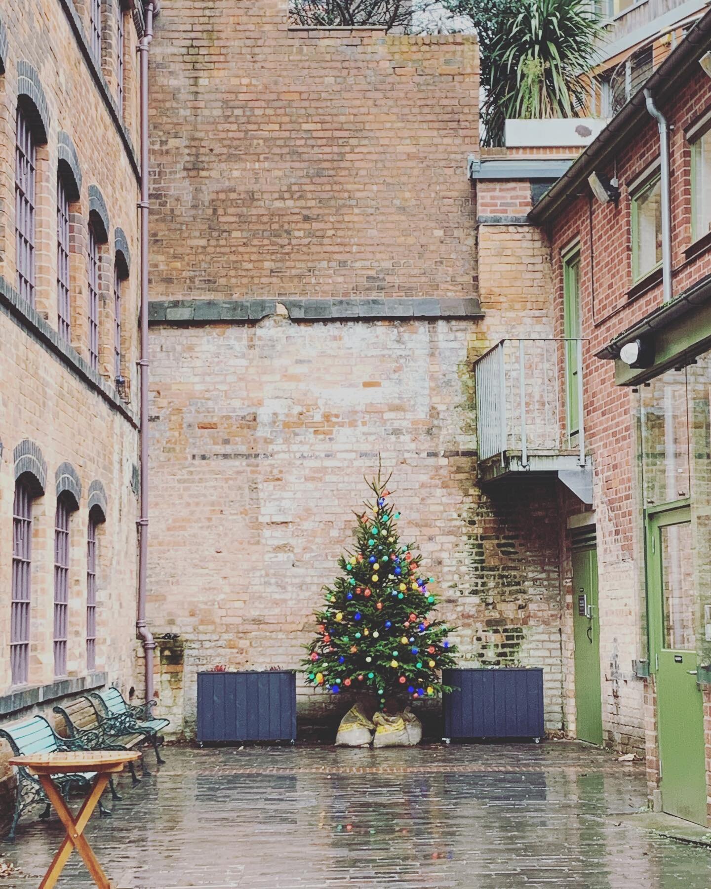 Tree looking lovely in the courtyard. We can&rsquo;t wait to share our beautiful studio &amp; space with you again soon 🤞🏼
#christmastree #workshops #jewellerymaking #thingstodo #jq #birmingham #independentbirmingham #supportsmallbusiness