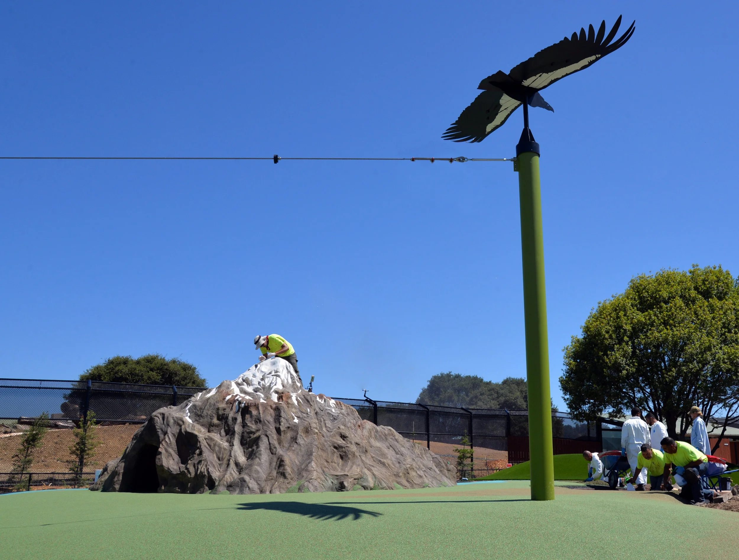California Condor Glider