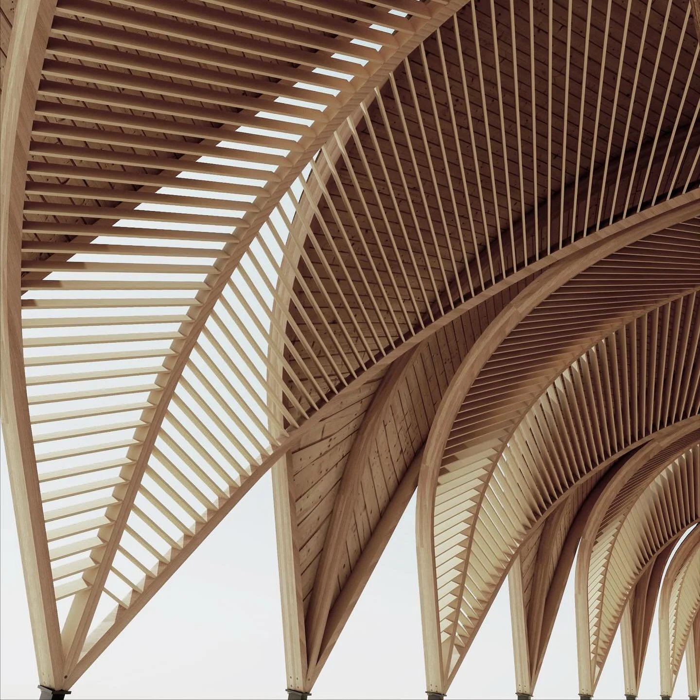 A sustainable and accessible visitor shelter for Langley Vale Wood. 
Inspired by the canopy of ancient beech trees, the glulam timber structure will provide a welcoming entry point, shelter from the elements, and space for exhibitions. 

Set within t