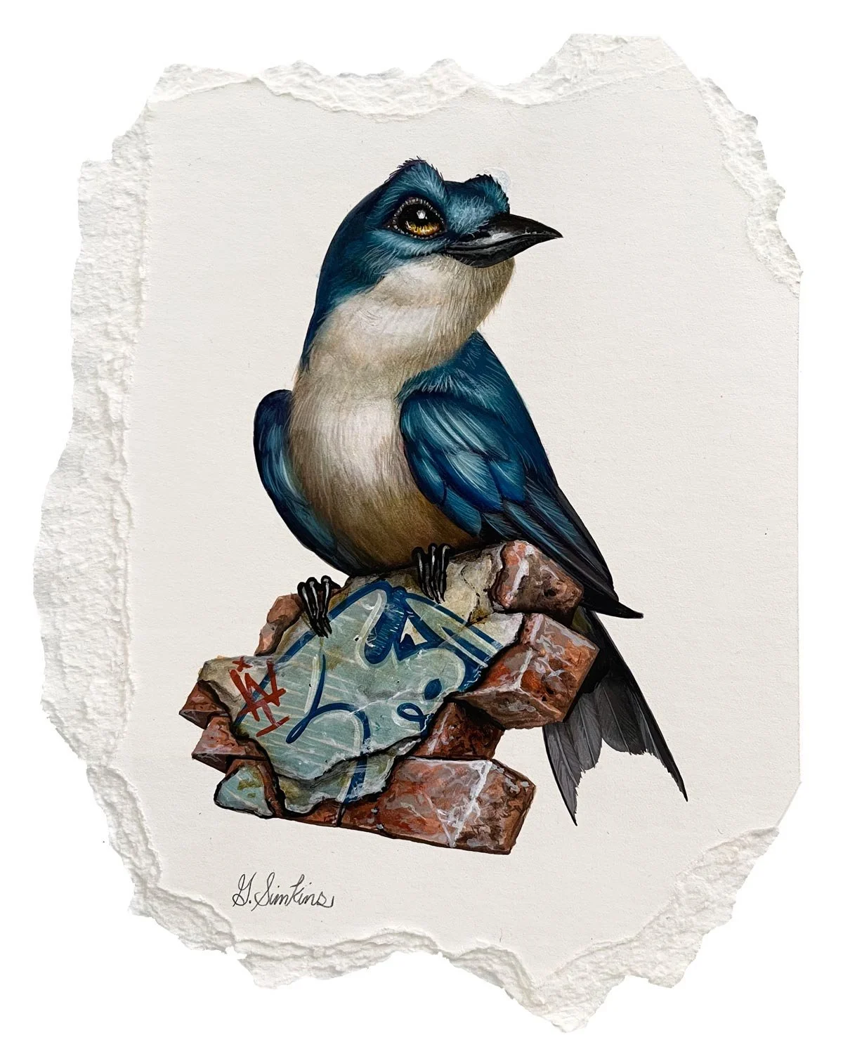 NOVEMBIRDS: New paintings on paper now available