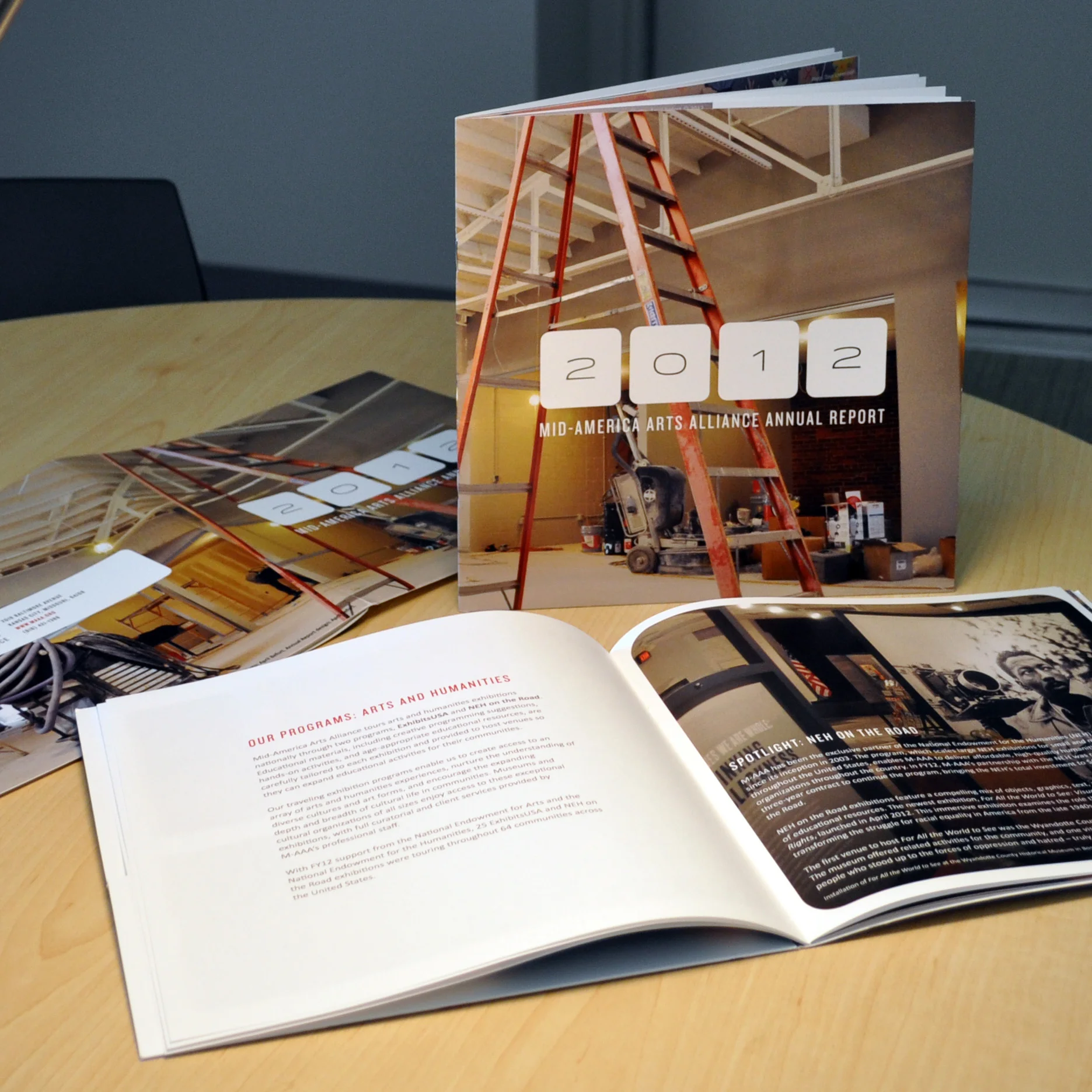 Fiscal Year 2012 Annual Report