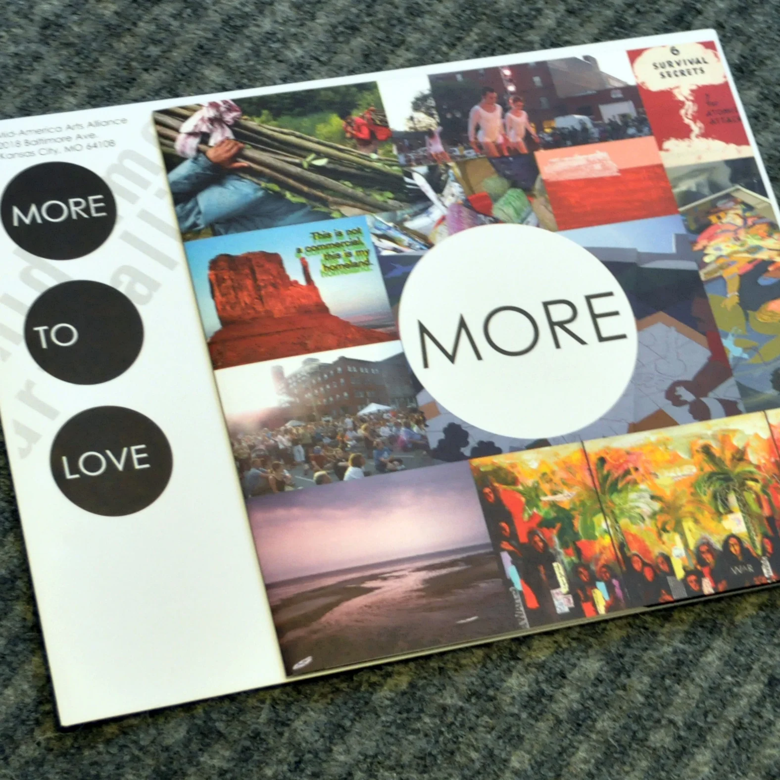 More to Love Brochure