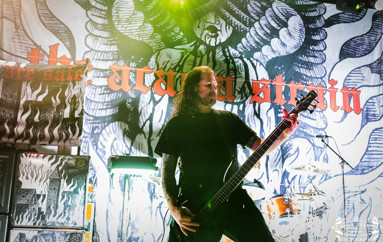 the acacia strain 25A5105-Enhanced-NR.jpg