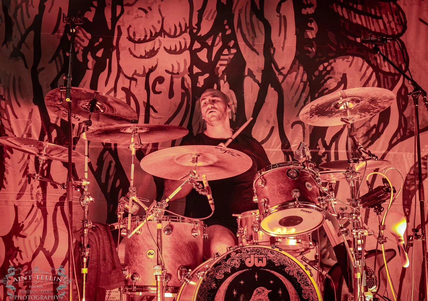 the acacia strain 25A5245-Enhanced-NR.jpg