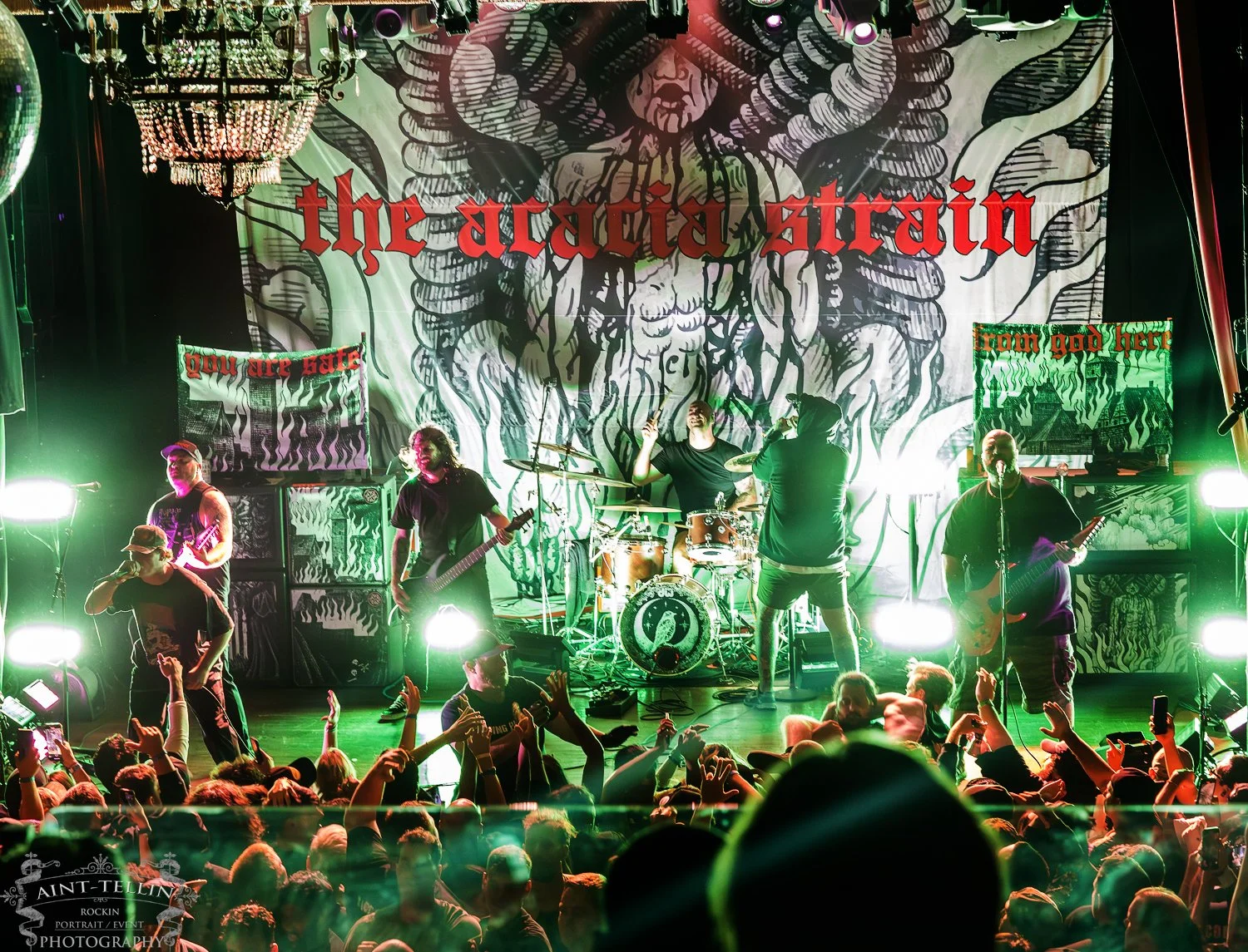 the acacia strain 25A5297-Enhanced-NR.jpg