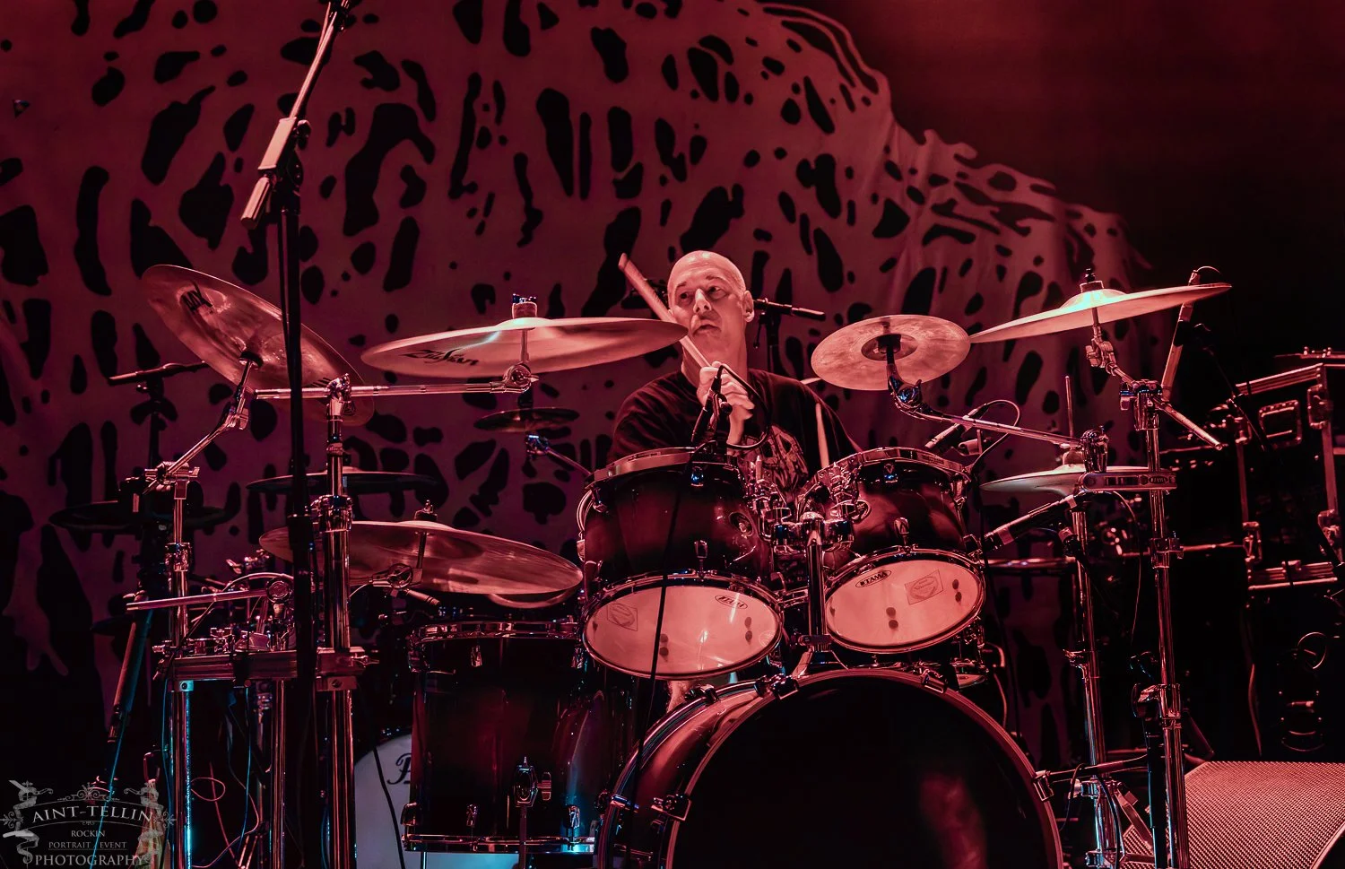 skinless irving 25A9275-Enhanced-NR.jpg