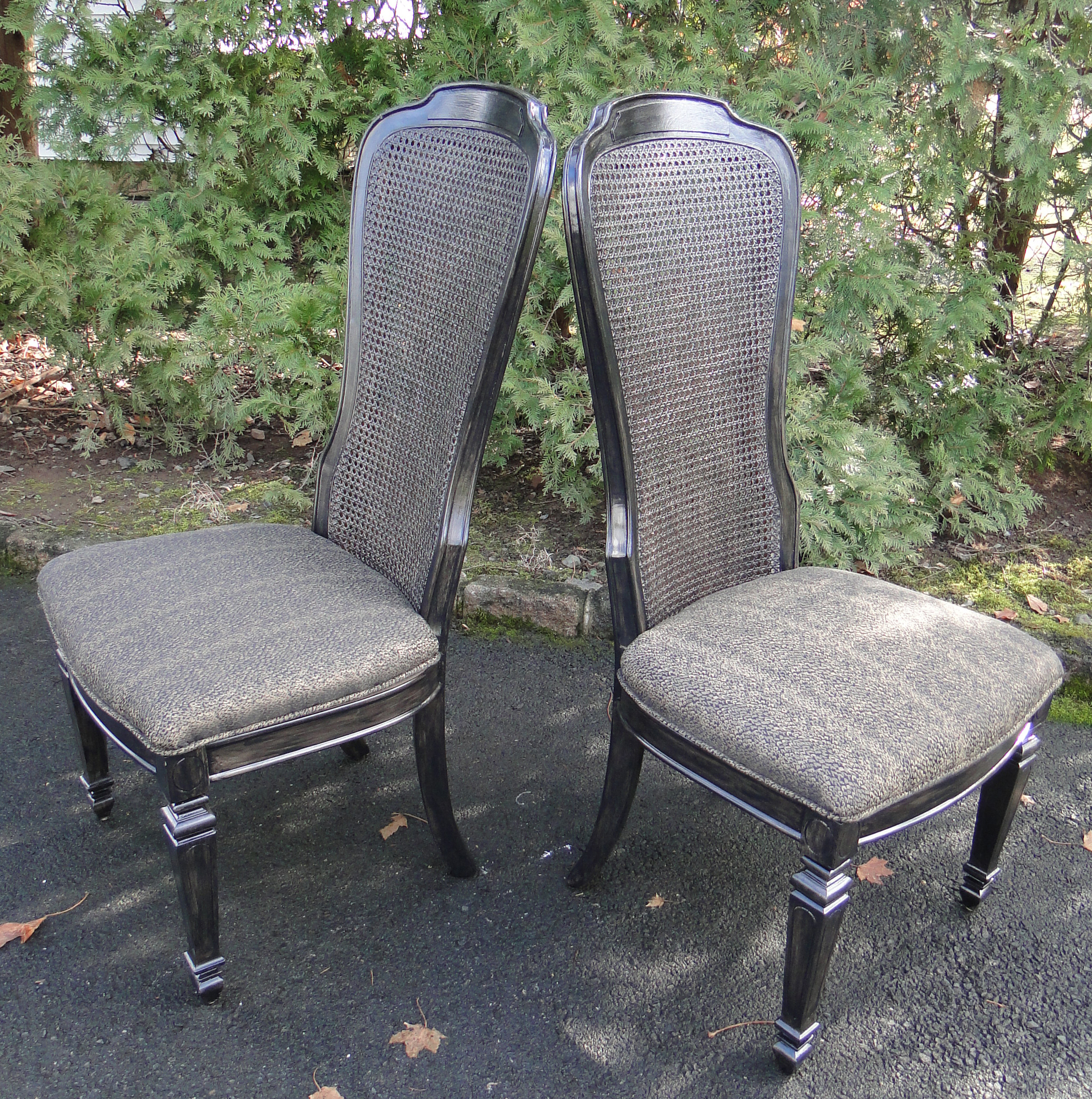 Painted Double Caned Chairs