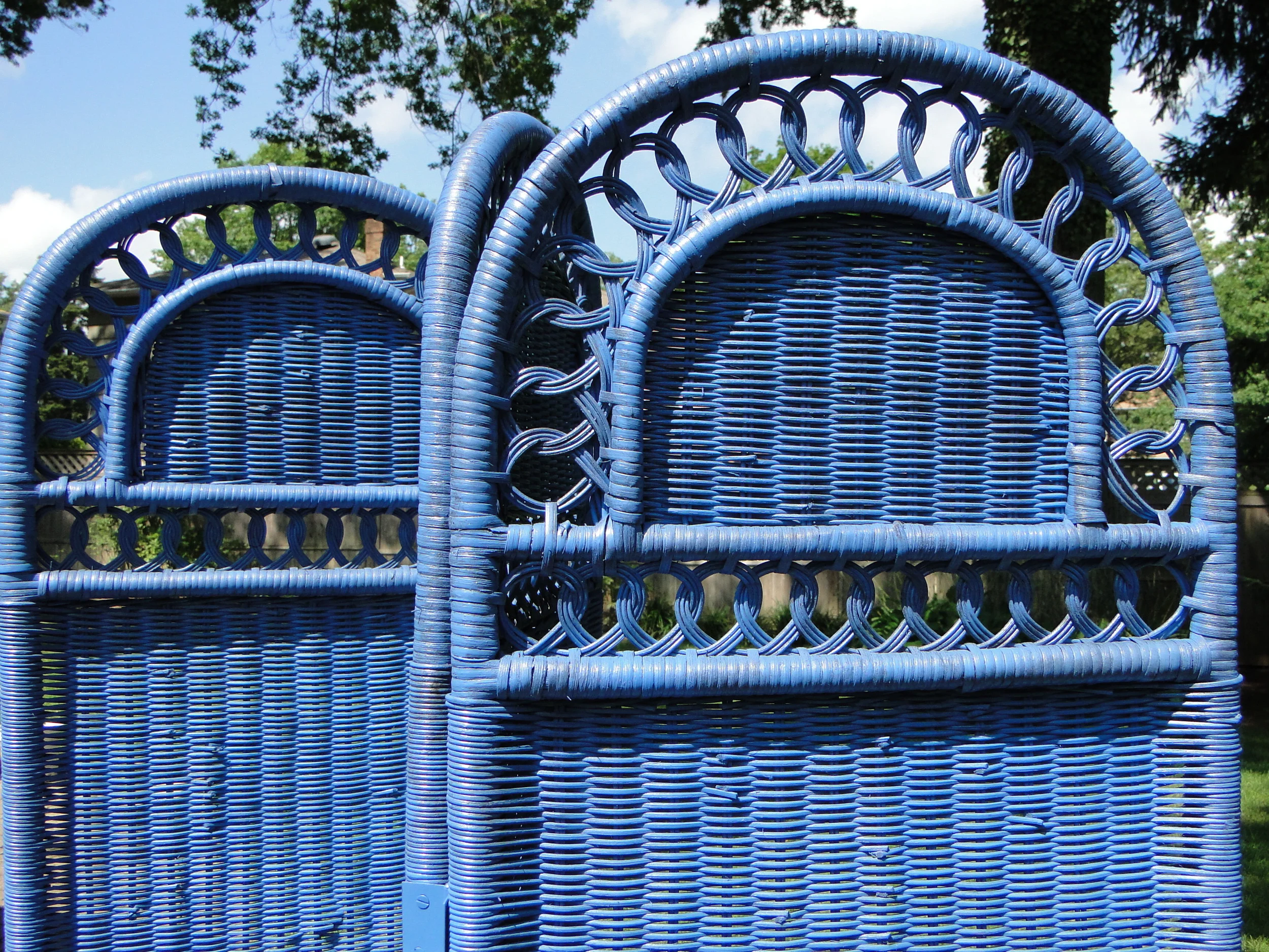 After Close up tops.JPG