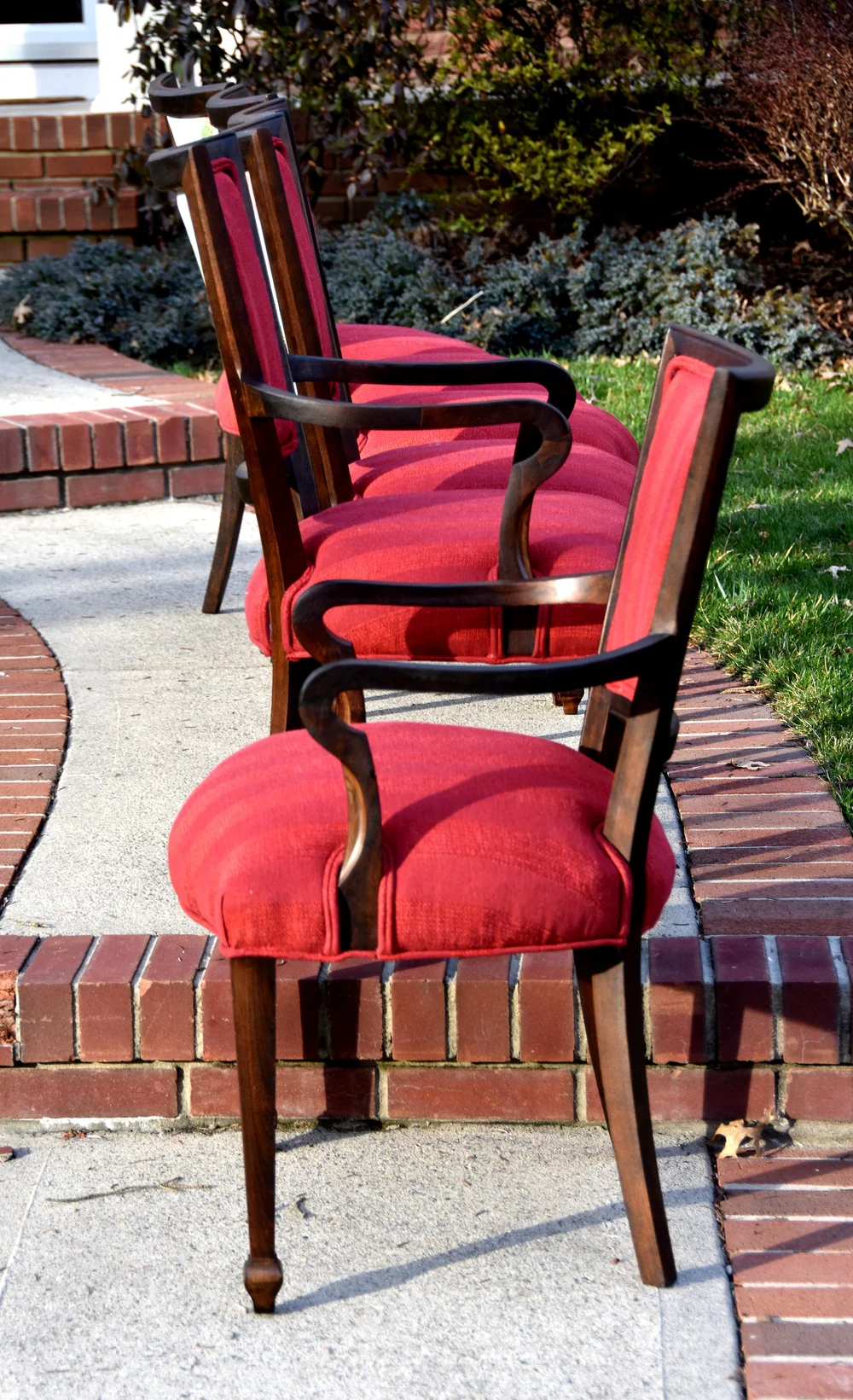 Red Birdcage Dining Chairs — What's Next Furniture