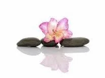 120 minute Massage, Reiki and Reflexology