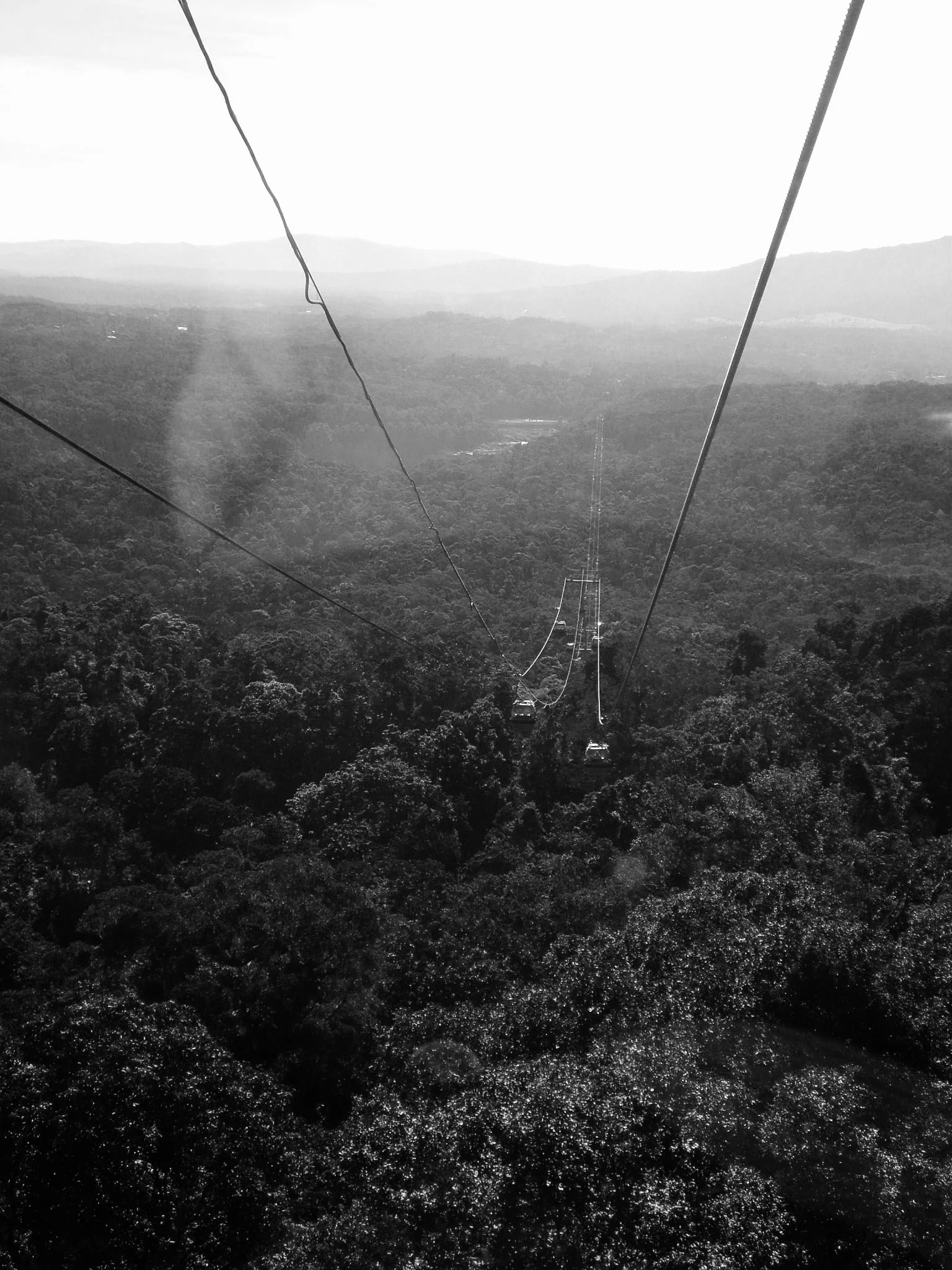 This photo was taken just as we left the cable car hub, after we had ridden the mountain side railway up to the top. The cable car ride was about an hour, high up above the trees, looking down into the Barron Gorge National Park. I remember tearing up and freaking out as the cable car left the station. I had never been in one before and I was/am afraid of heights (especially heights over a mysterious rainforest in Australia). I made it down alive, with no make-up, and some amazing sights to remember. 4/5 - 2008