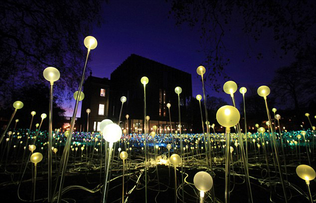 Bruce-Munro-5000-flowering-lights-london-2.jpg