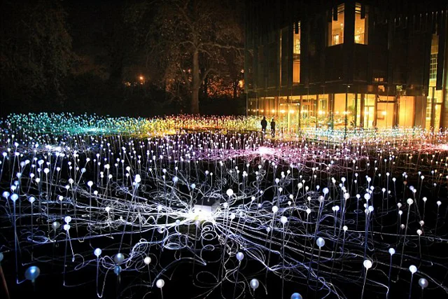 Bruce-Munro-5000-flowering-lights-london-1.jpg