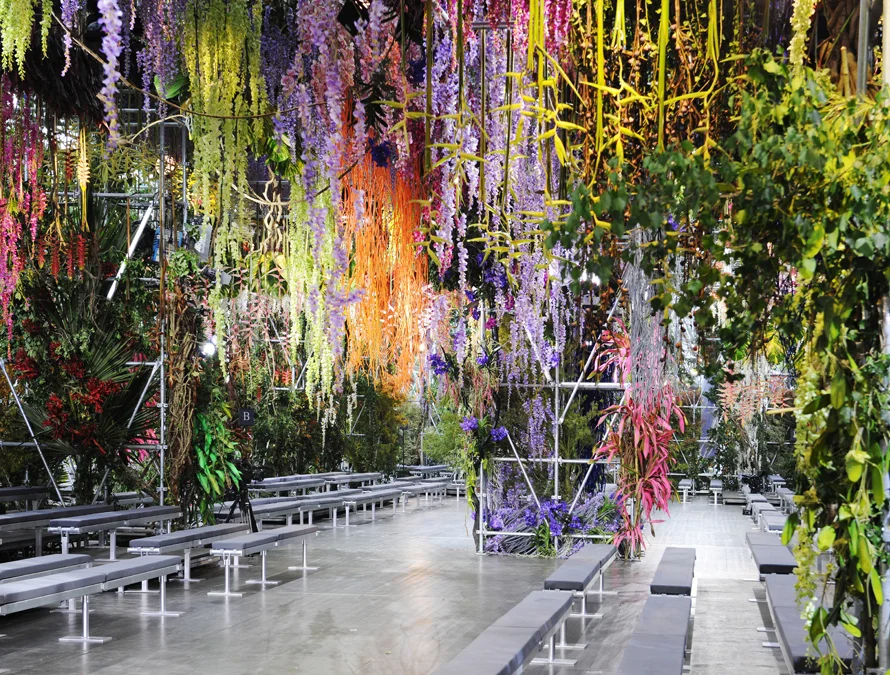 A Catwalk in Bloom