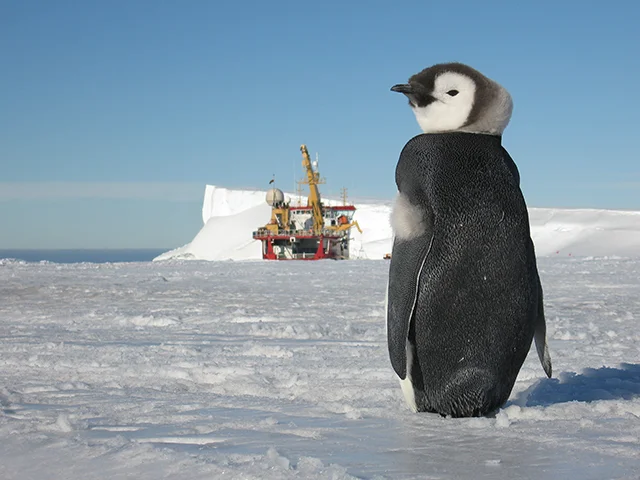 Halley-VI-Antarctic-Opens-Hugh-Broughton-British-Antarctic-Survey-3.jpg
