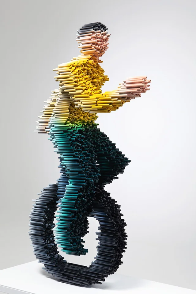Disguise: A Series Of PVC Sculptures