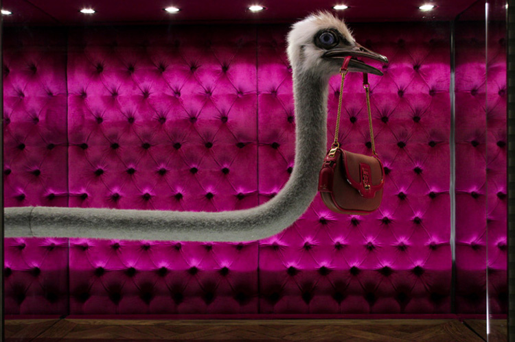 Louis-Vuitton-Window-Display-4.jpg