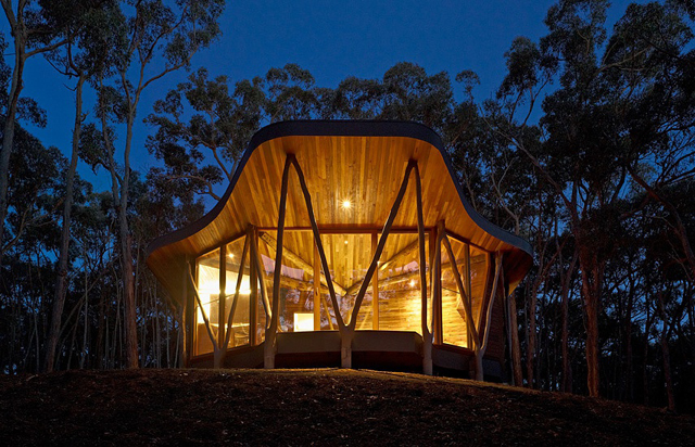 Trunk-house-paul-morgan-architects-tree-house-6.jpg