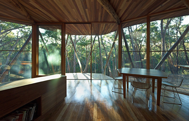 Trunk-house-paul-morgan-architects-tree-house-10.jpg