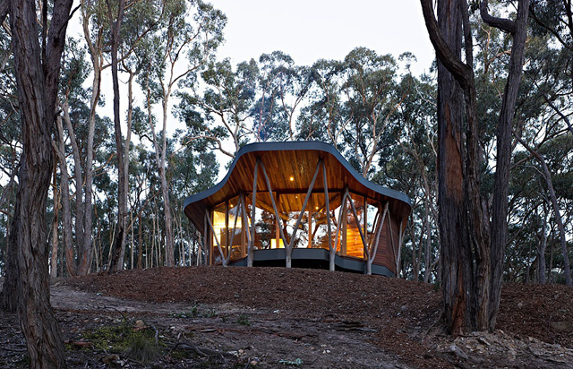 Trunk-house-paul-morgan-architects-tree-house-7.jpg