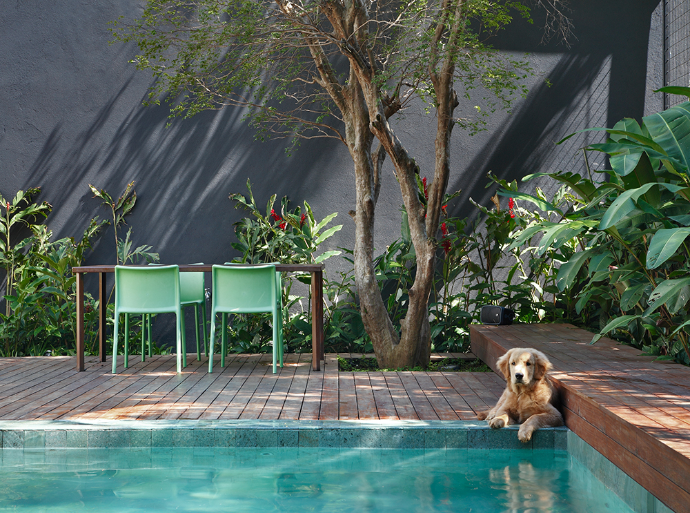 DM-House-Guilherme-Torres-Sao-Paulo-Architecture-3.jpg
