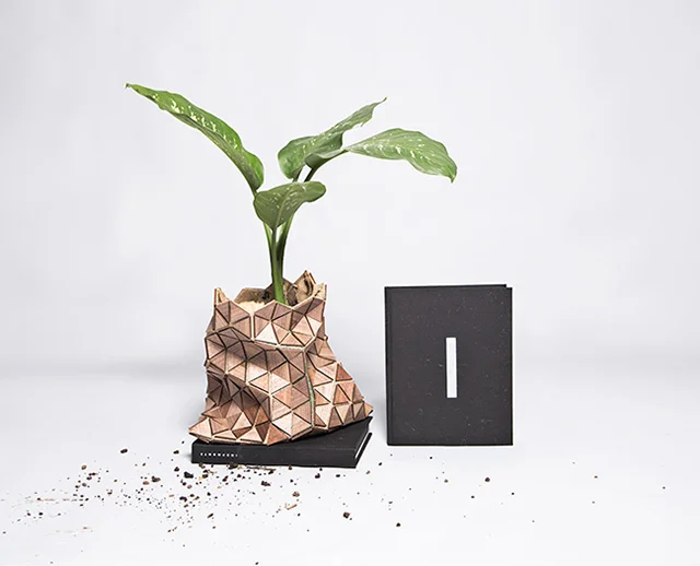 Biodegradable Packaging Turned Planter