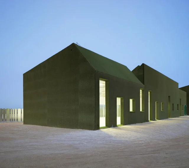 A Delightfully Playful School Of Grass