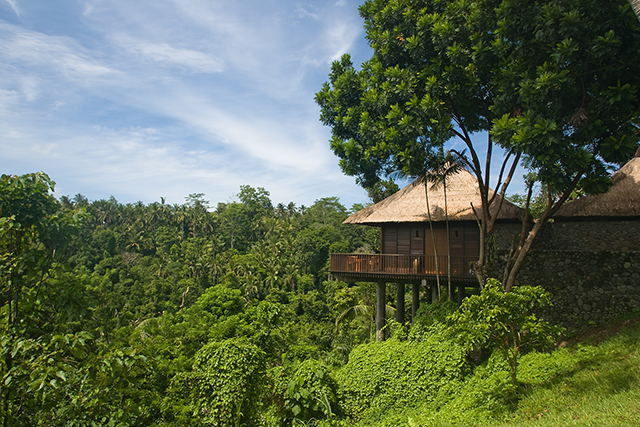 Alila-Ubud-Bali-Terrace-Tree-Villas-Travel-15.jpg