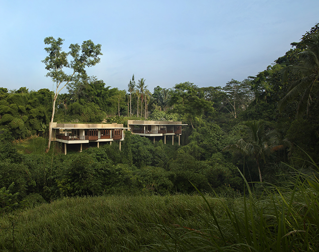 Alila-Ubud-Bali-Terrace-Tree-Villas-Travel-13.jpg
