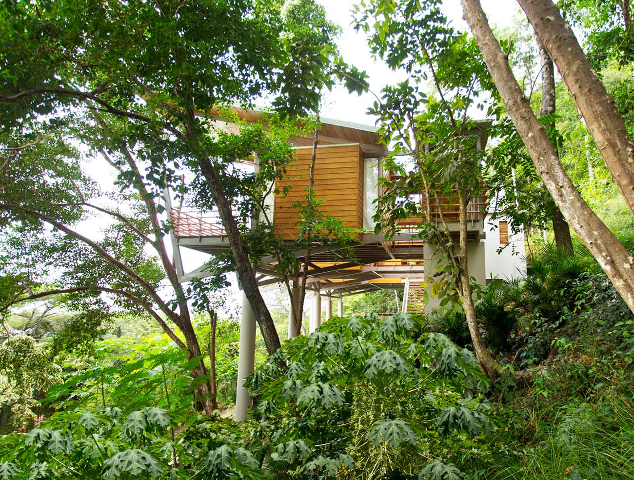 Casa-Flontanta-Costa-Rica-Treehouse-Benjamin-Garcia-Saxe-8.jpg