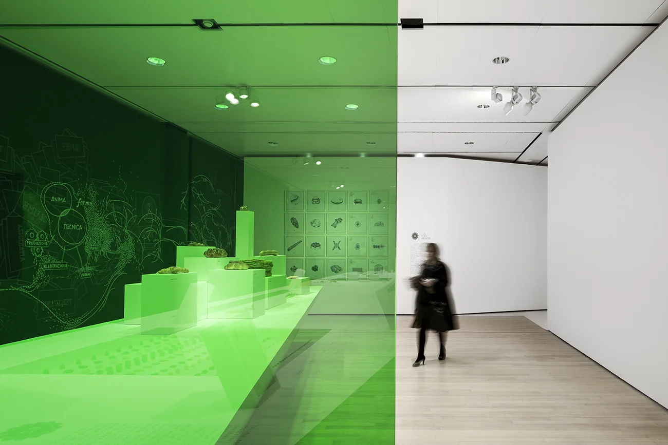 Food-Project-Shape-of-Taste-Mart-Museum-Italy-7.jpg