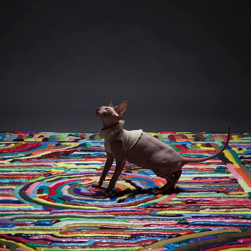 Gooey Rainbow Carpet Art by NIGHTSHOP