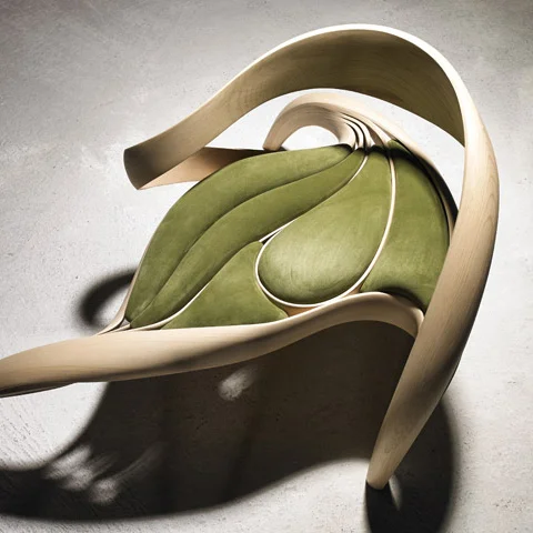Wonder Root: Enignum Collection by Joseph Walsh