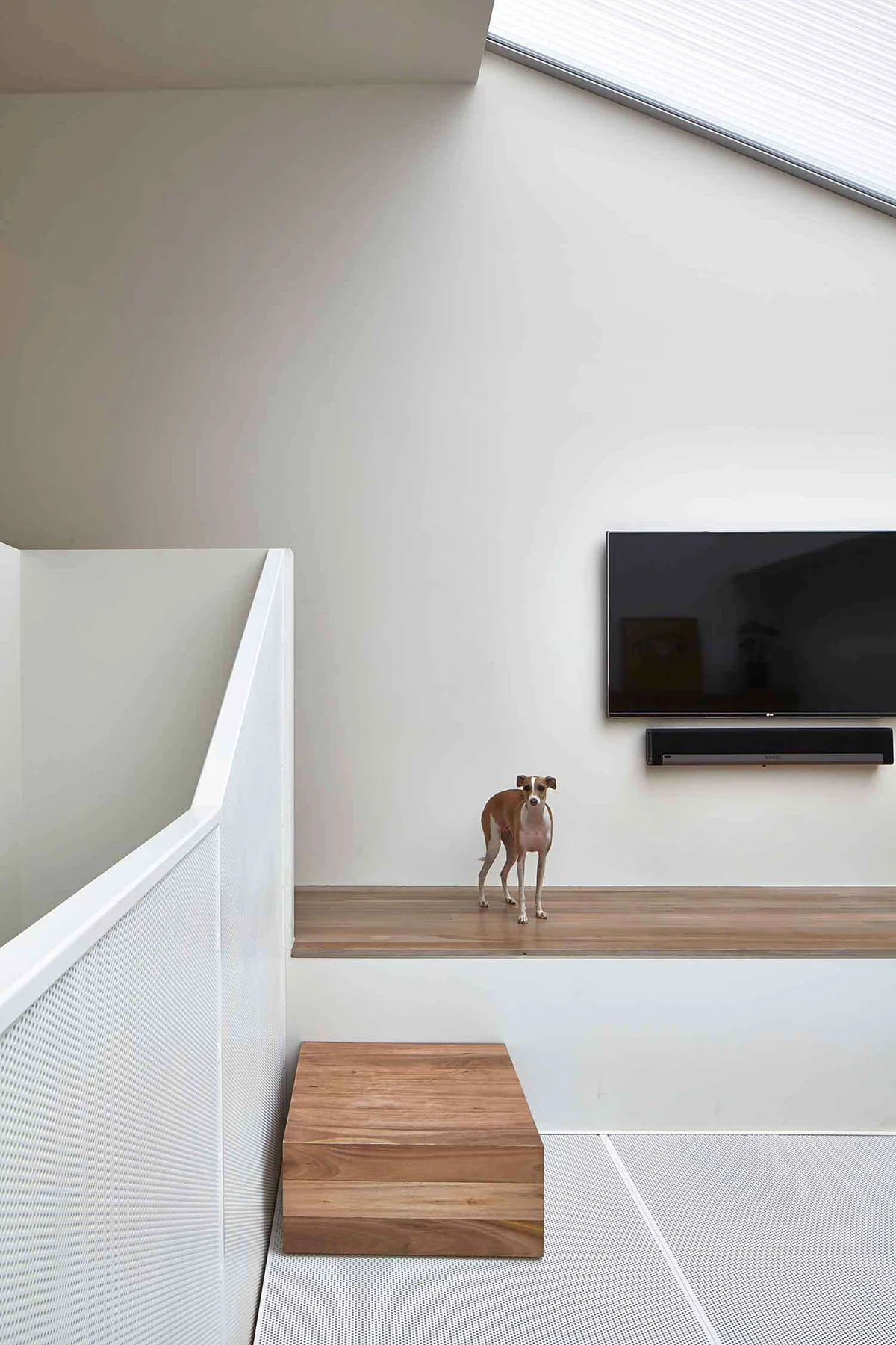  Lightbox House by Edward Moore Architects 