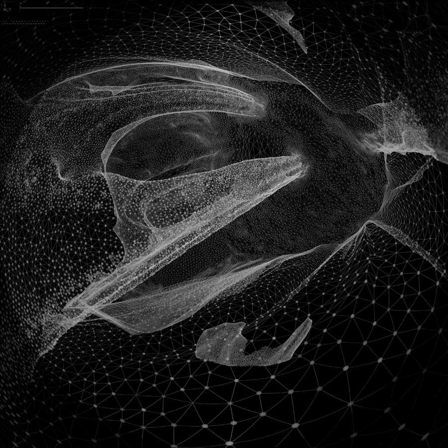  Nimbles Exploring Solitary Nature Observation by Joanie Lemercier 