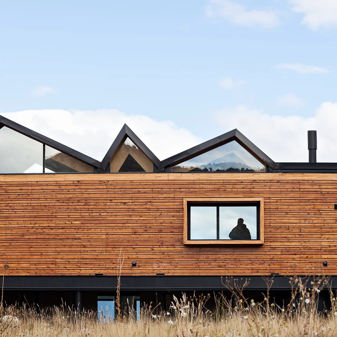 The Artful Lodger: CS House by Alric Galindez Arquitectos