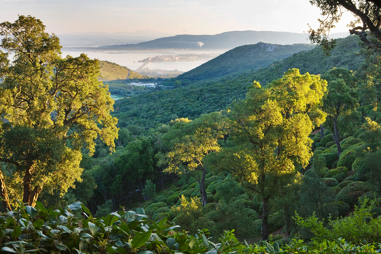 Clive Nichols photographs a modern Mediterranean