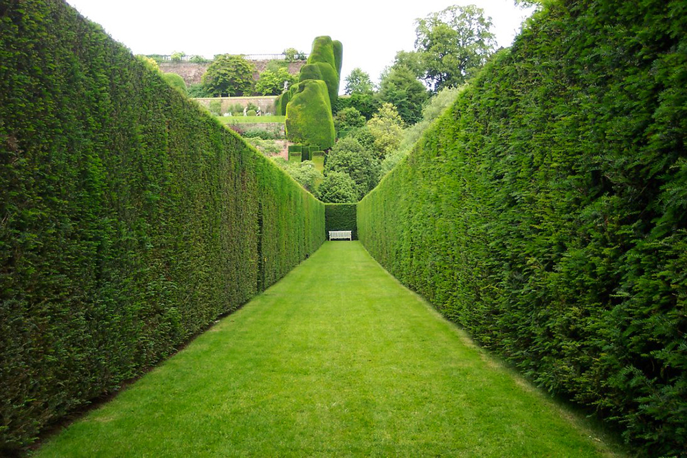  Marqueyssac Gardens in Vezac France 