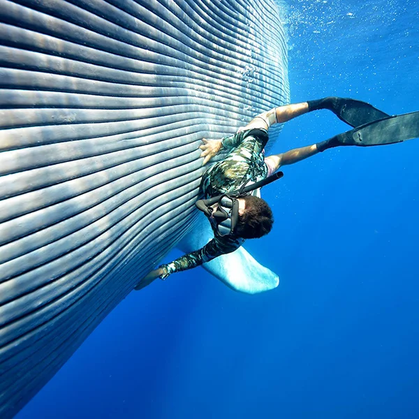 Bucket List: For the Thrill of it All