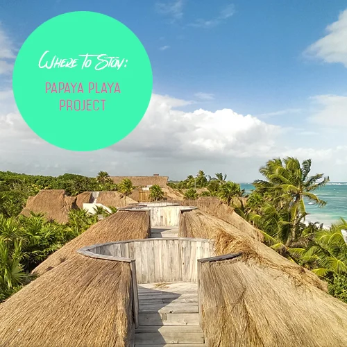  Tulum Time: Life on a luxury camp and a dive to the Great Mayan Reef 