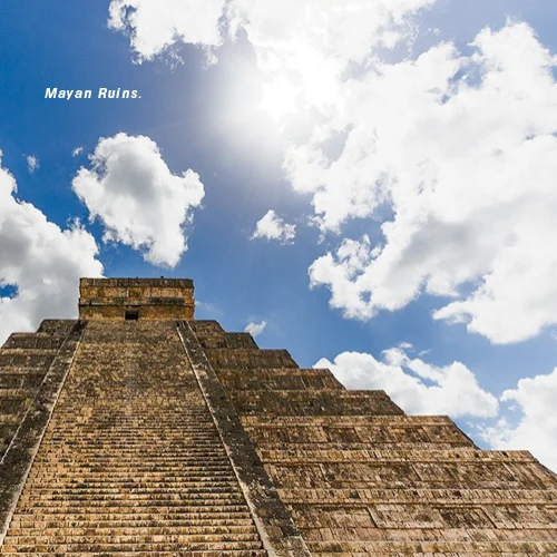  Tulum Time: Life on a luxury camp and a dive to the Great Mayan Reef 